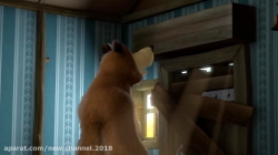 کارتون ماشا و میشا ❤ قسمت 136  ❤